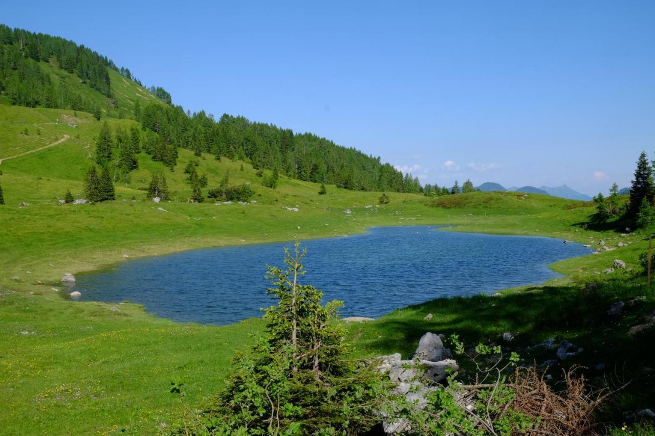 维戈迪卡多雷 Casa Della Rosa Dolomites Experience酒店 外观 照片